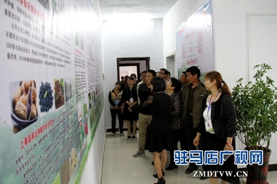 駐馬店市首個國家級'星創天地'在上蔡縣揭牌，助力農業信息咨詢與創新發展